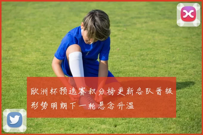 欧洲杯预选赛积分榜更新各队晋级形势明朗下一轮悬念升温